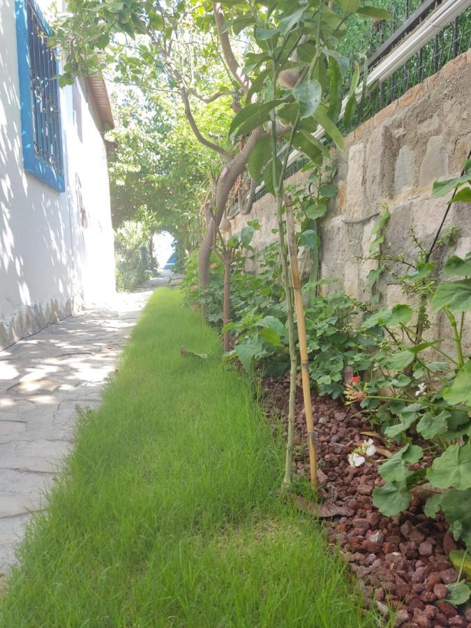 Apart Turgutreis Exterior photo