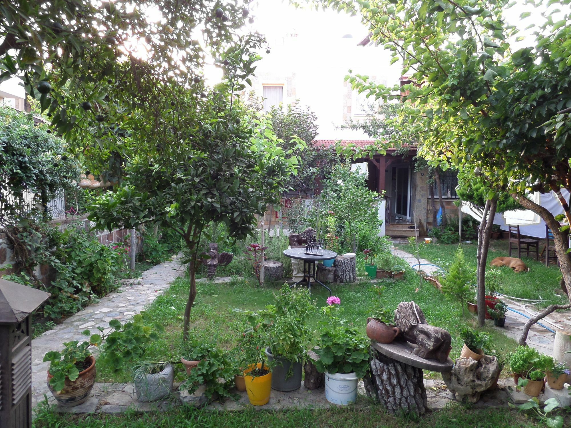 Apart Turgutreis Exterior photo